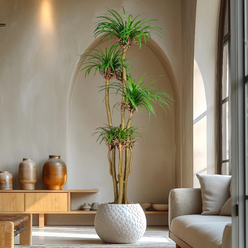 Indoor/Outdoor Home Tree Simul - Dracaena Marginata review and price