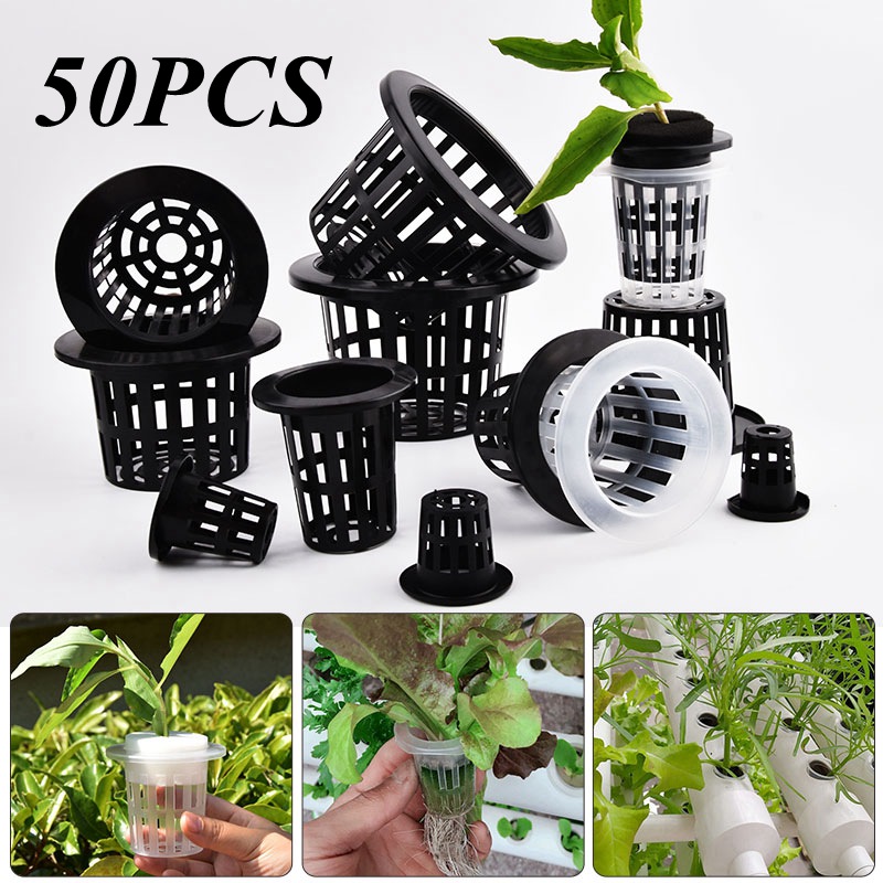 50Pcs Black White Soilless Mes - Aloe Vera Pot review and price