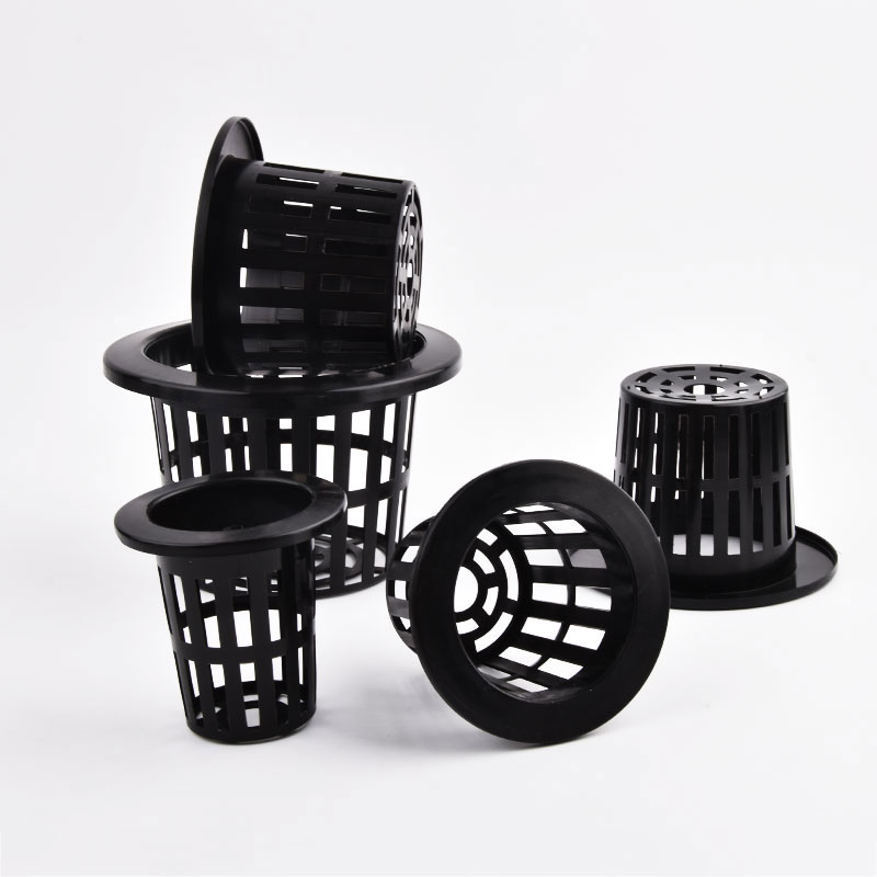 50Pcs Black White Soilless Mes - Aloe Vera Pot review and price