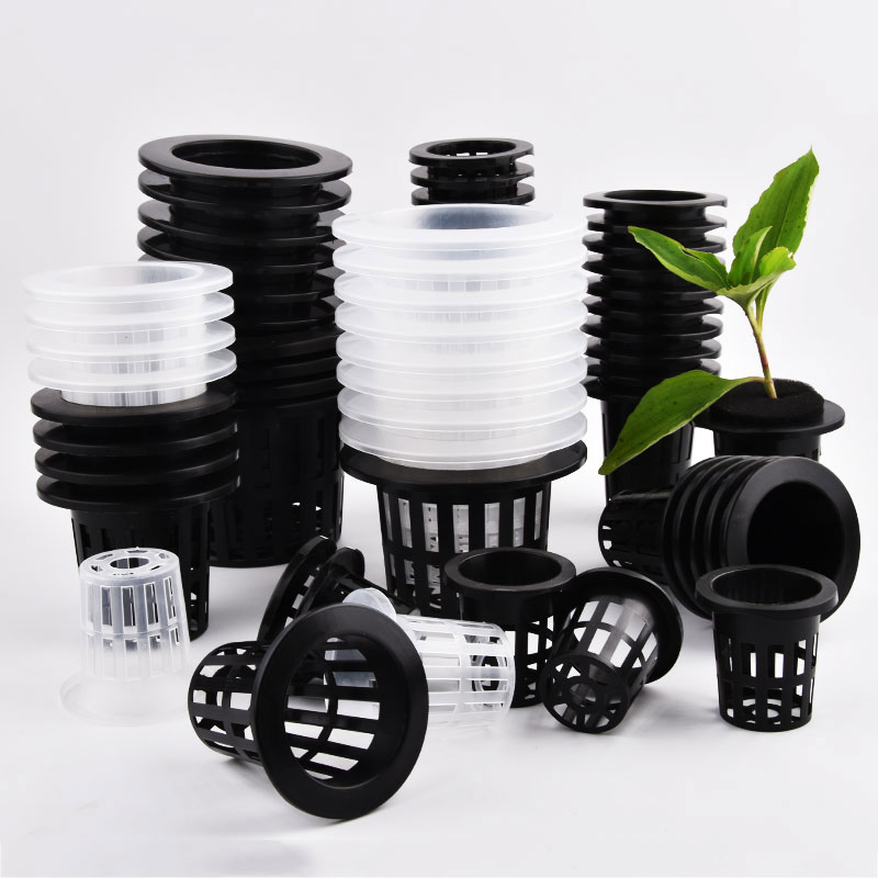 50Pcs Black White Soilless Mes - Aloe Vera Pot review and price
