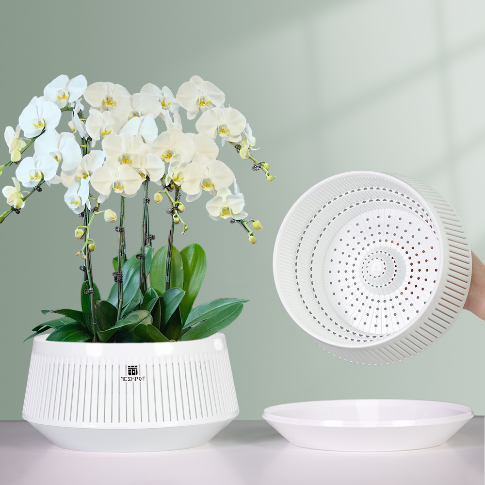 Meshpot Orchid Pot with Holes  - Aloe Vera Pot review and price