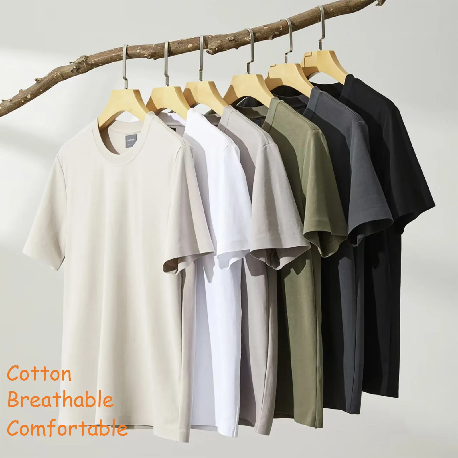 Large Son Uva Digger Monster T - Monstera Adansonii review and price