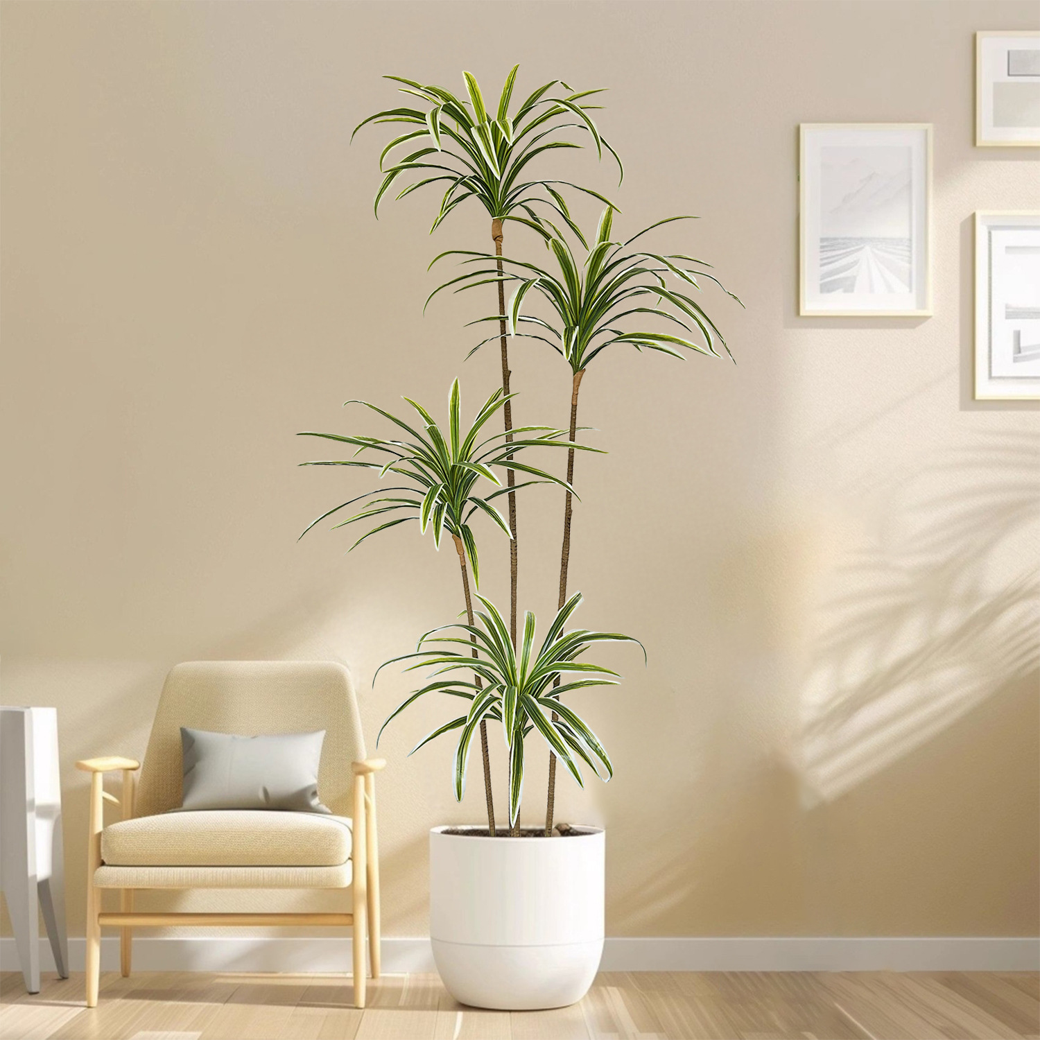 230cm Artificial Dracaena Marg - Dracaena Marginata review and price