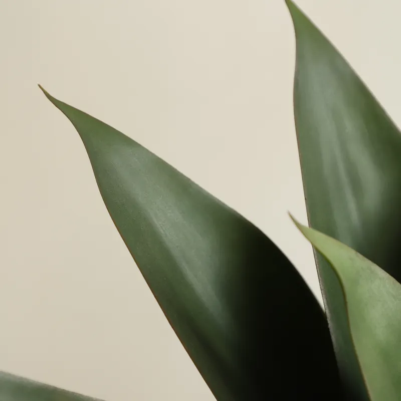 Artificial Potted Aloe Vera Pl - Aloe Vera Pot review and price