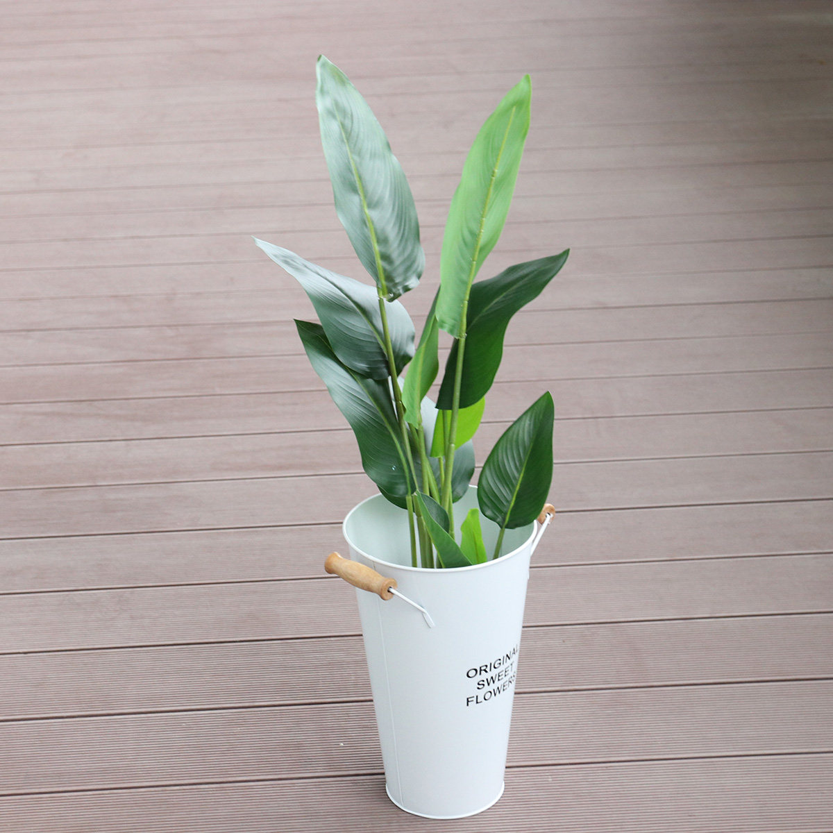 Wrought Iron Flower Vase Deskt - Aloe Vera Pot review and price